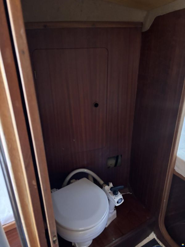 Cantiere Alto Adriatico DELTA 31