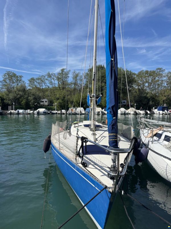 Cantiere Alto Adriatico DELTA 31