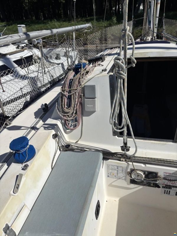 Cantiere Alto Adriatico DELTA 31