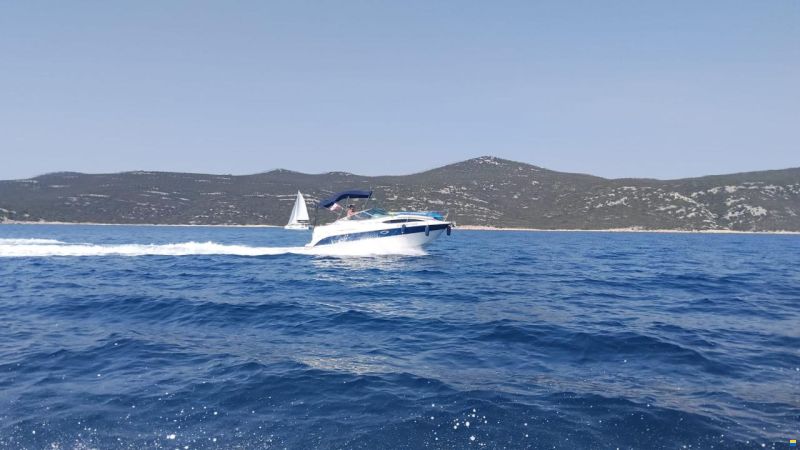 Bayliner 245 SB