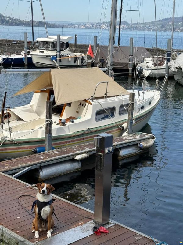 Coronado 25