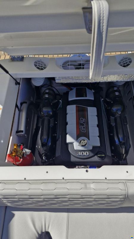 Sea Ray SPX 230