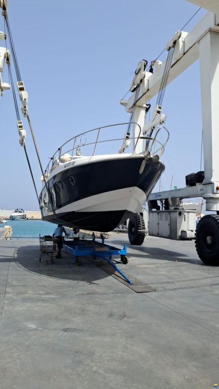Sessa C38