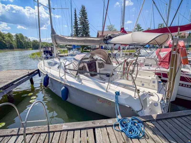 Maxus 33
