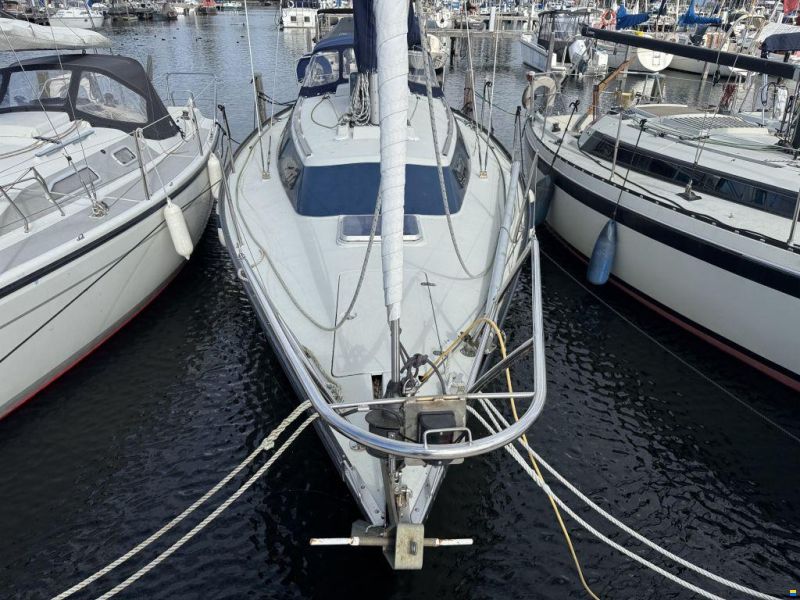 Dufour 29
