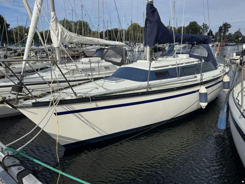 Dufour 29
