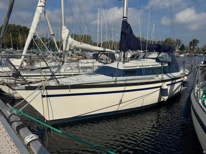Dufour 29