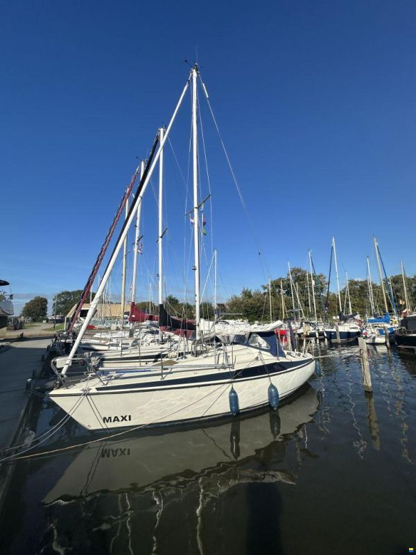 Maxi 84