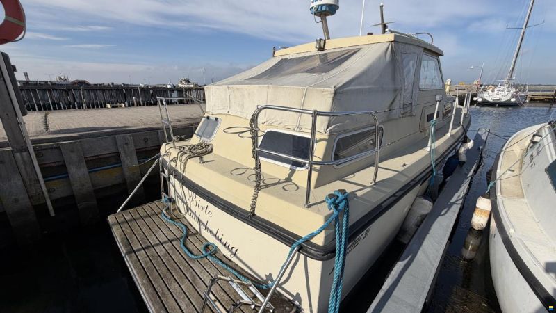 Jupiter 31