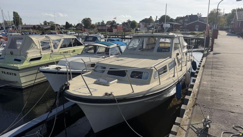 Jupiter 31