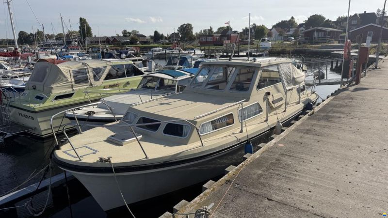 Jupiter 31