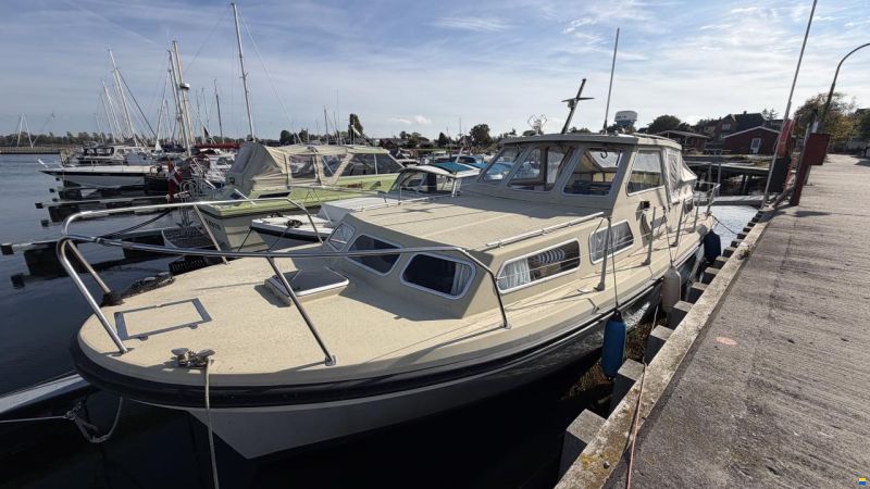 Jupiter 31