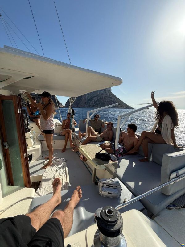 Edel Cat 36
