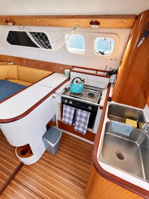 Edel Cat 36
