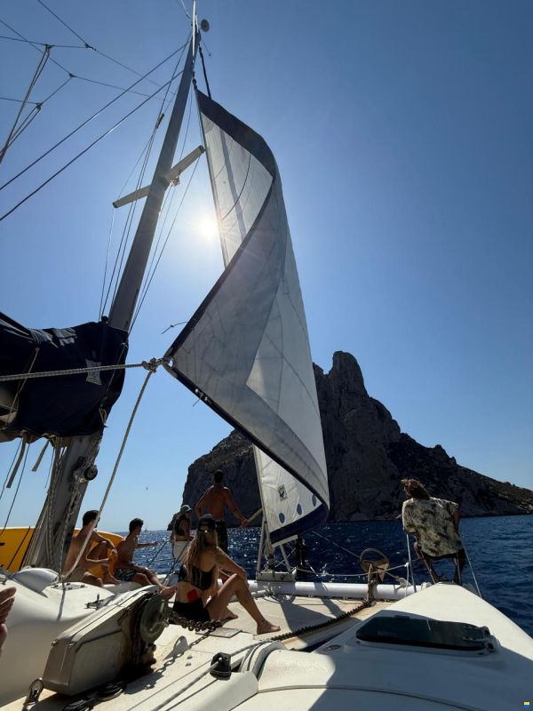 Edel Cat 36