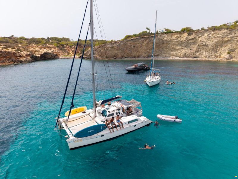Edel Cat 36