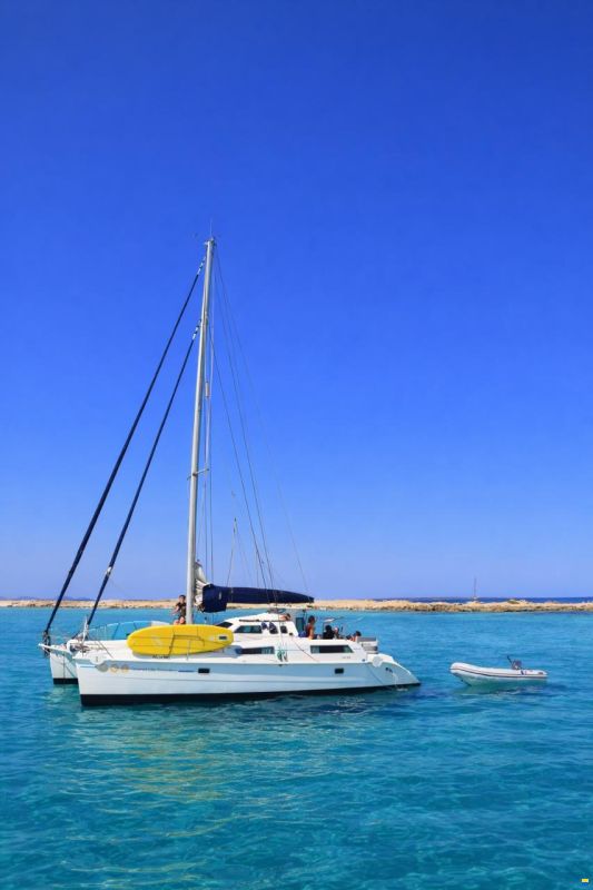 Edel Cat 36