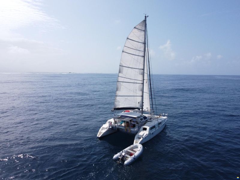 Edel Cat 36