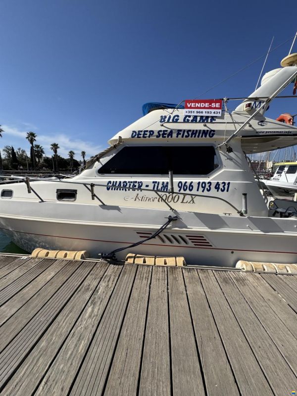 AESA Astinor 1000 LX