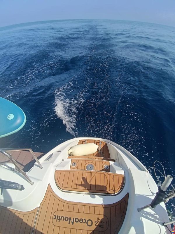 Lagoon 410 S2