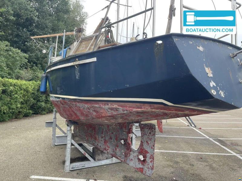 Friesland 860