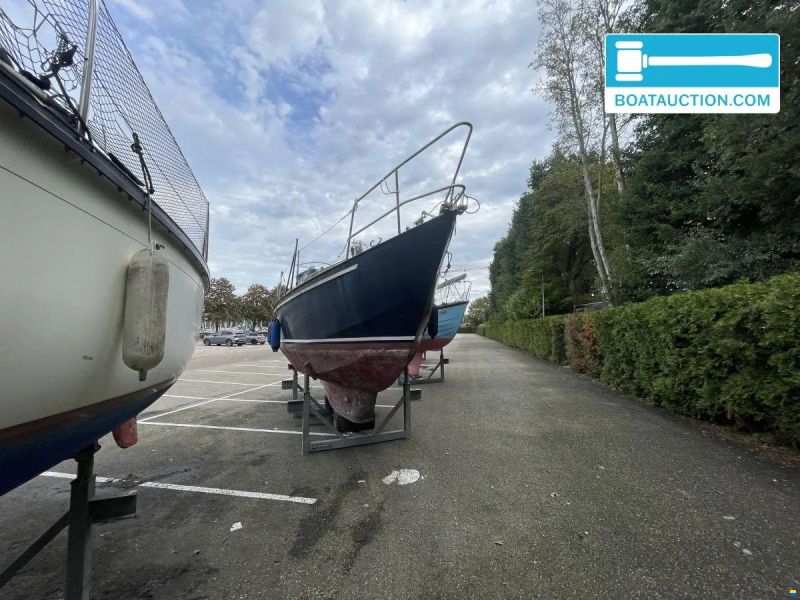 Friesland 860