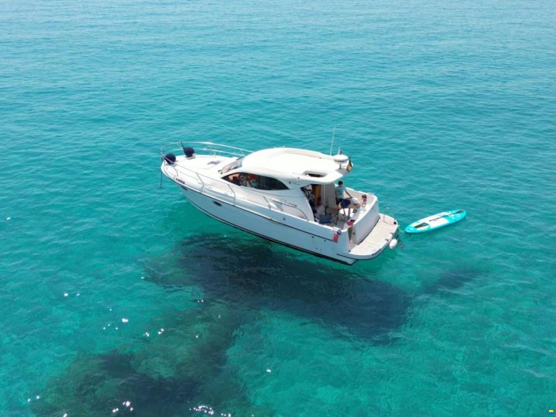 Starfisher 32