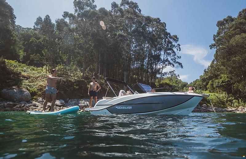 Quicksilver new 625 Open/Mercury 150