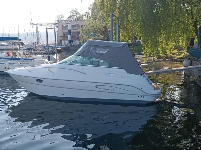 Sessa Oyster 25