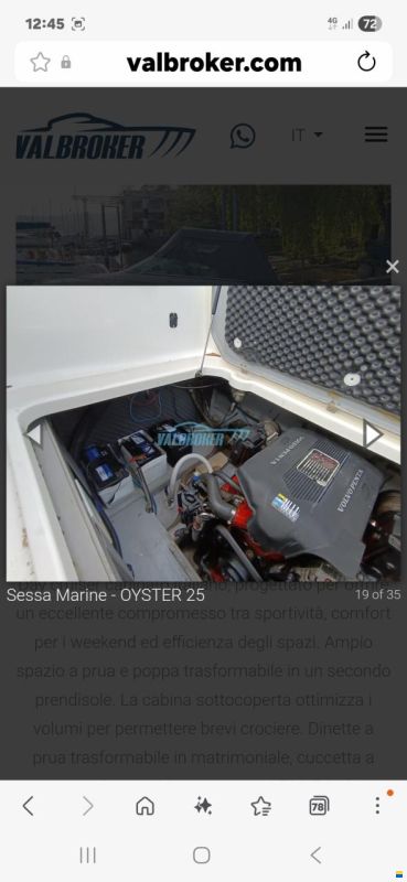 Sessa Oyster 25