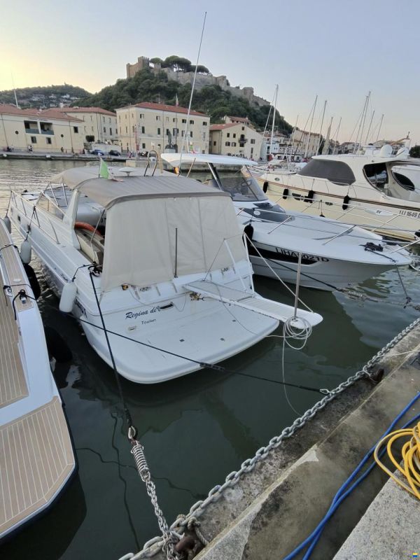 Fiart Genius 36