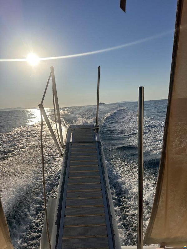 Fiart Genius 36