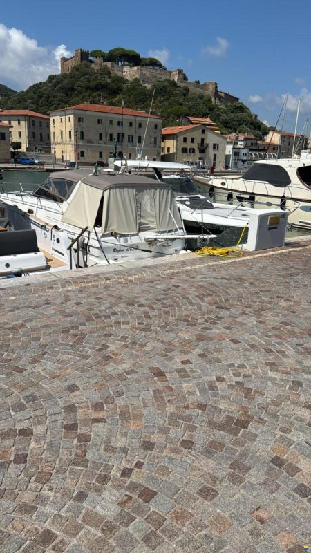 Fiart Genius 36