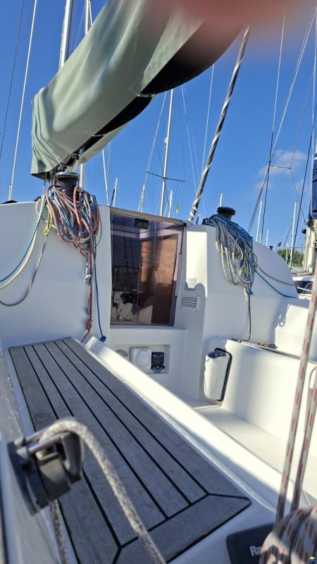 Elan 310