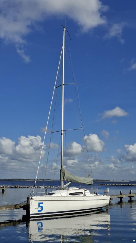 Elan 310