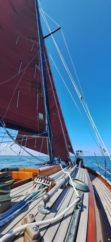 Eigenbau kleiner Segelkutter "MOMO"