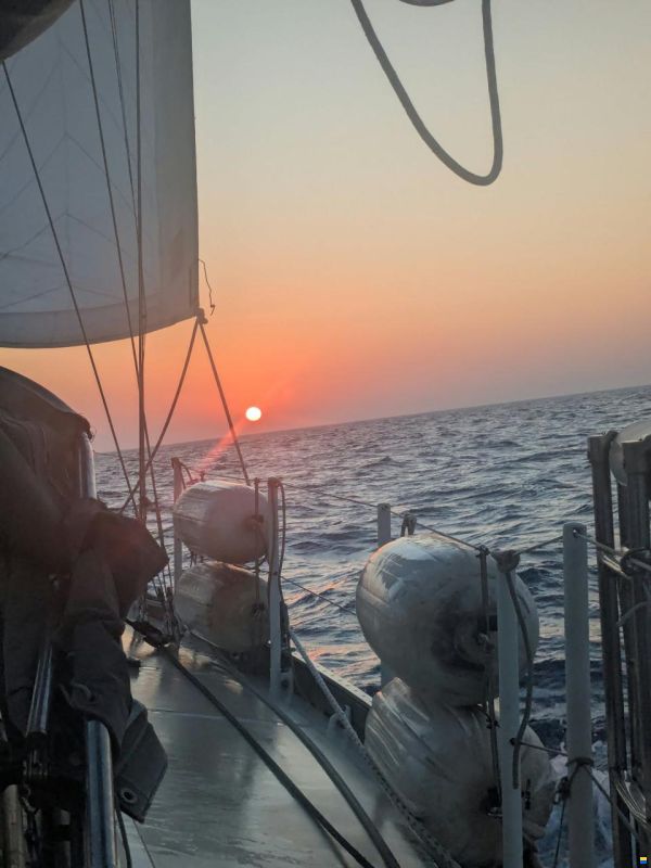 Promovoile / Galapagos 45