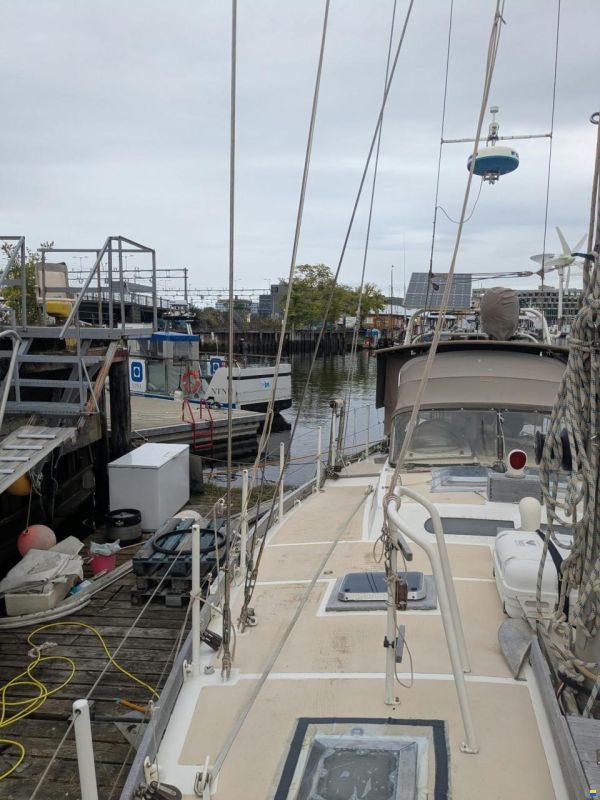 Promovoile / Galapagos 45