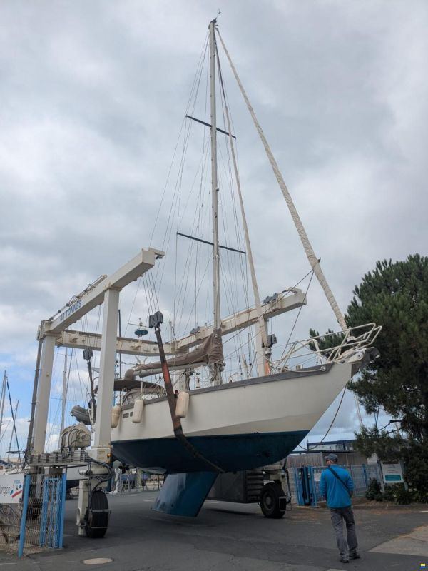 Promovoile / Galapagos 45