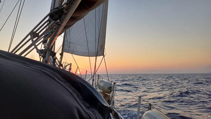 Promovoile / Galapagos 45