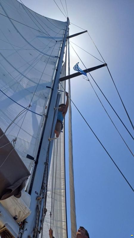 Promovoile / Galapagos 45