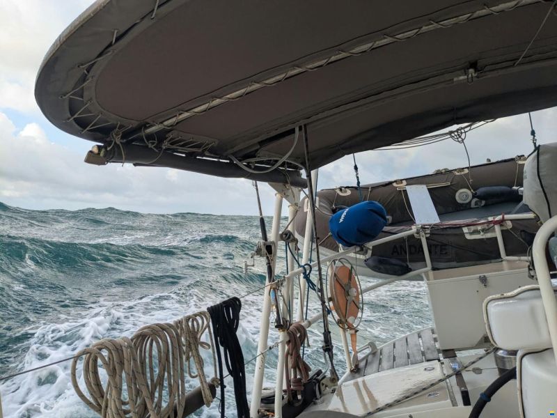 Promovoile / Galapagos 45