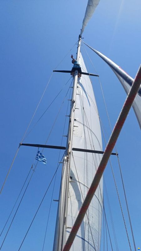 Promovoile / Galapagos 45