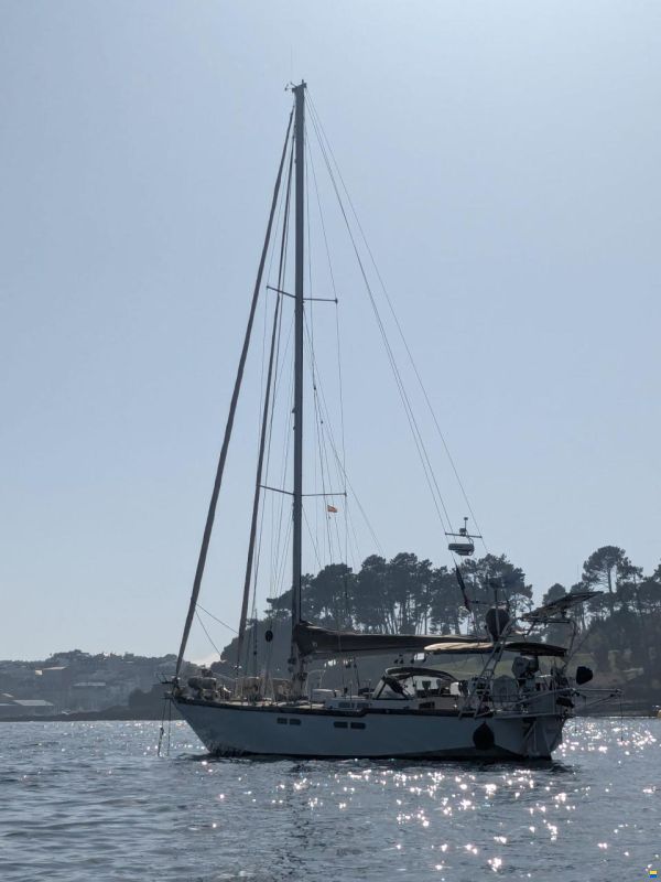 Promovoile / Galapagos 45