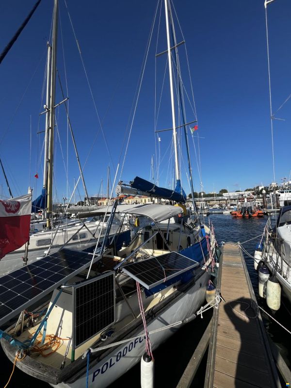 Samphire 29