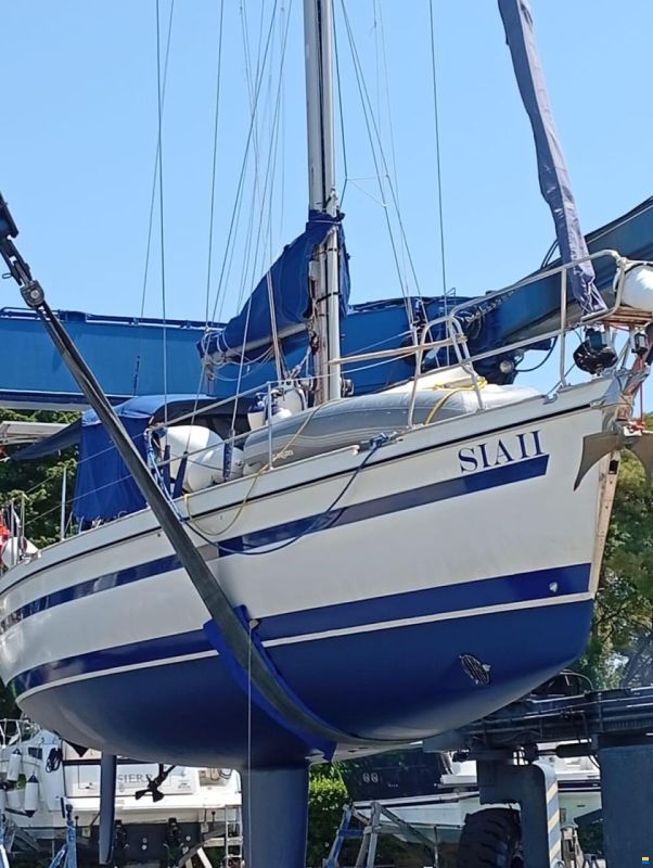 Schöchl Sunbeam 39
