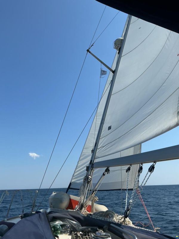 Bavaria 37