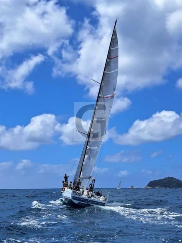 Vismara V50 Sport