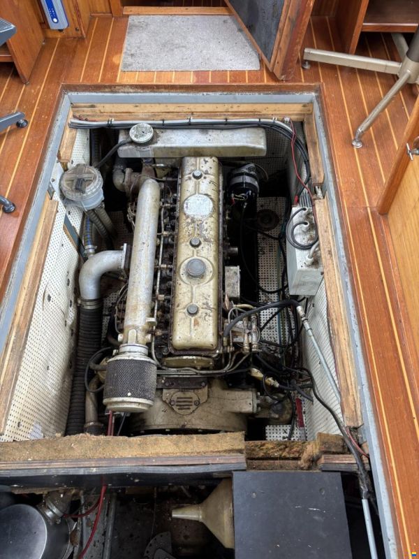 Molenmaker & Mantel Kotter 11.50 OK