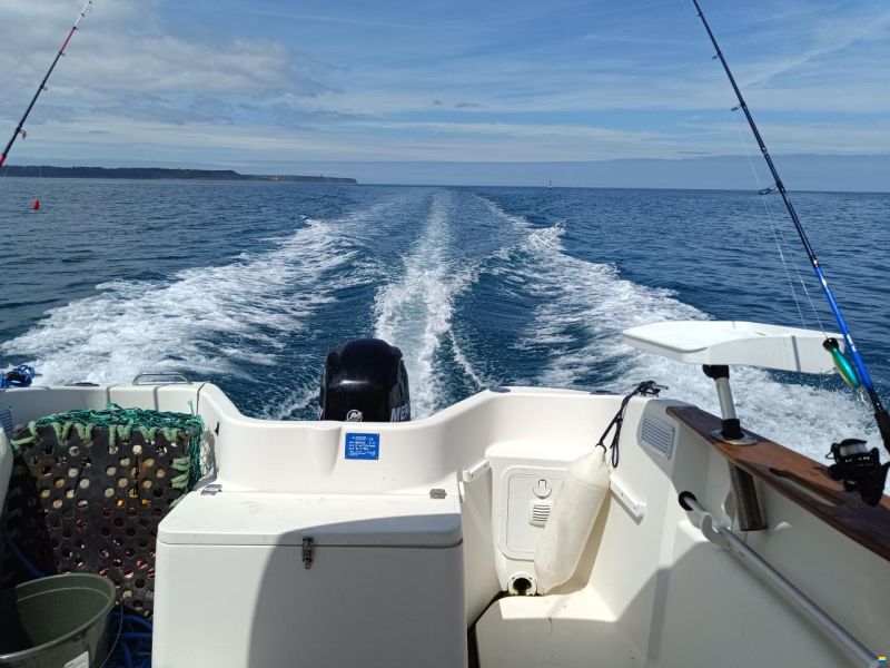 Quicksilver Pilothouse 580